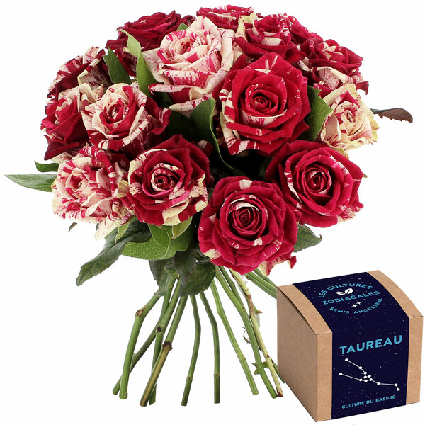 Fleurs et cadeaux 15 ROSES ARLEQUIN + KIT TAUREAU